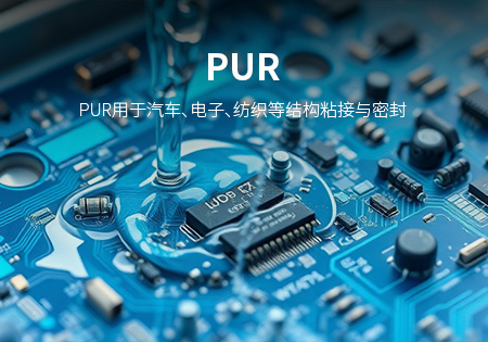 漳州PUR
